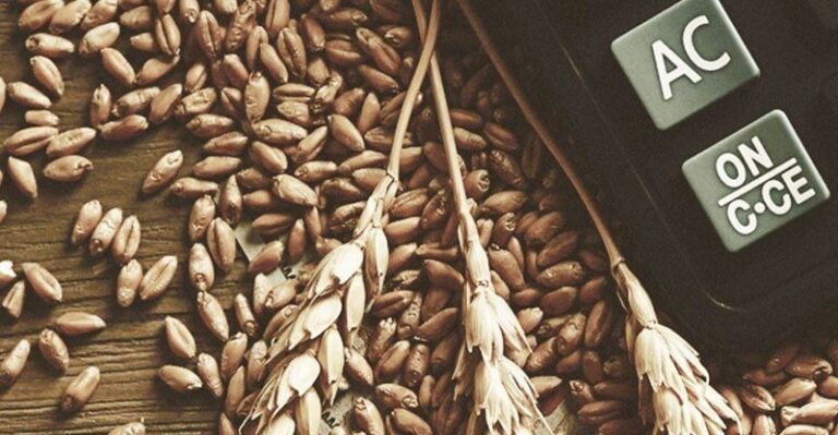 Land Bank Insurance Company pilots index insurance in South Africa