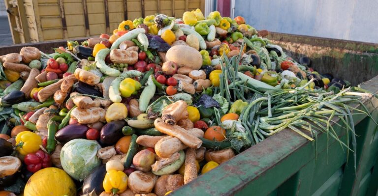 Africa’s battle against food waste: How interventions can save 30% of produce