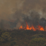 Tshwane EMS on high alert for veld fires