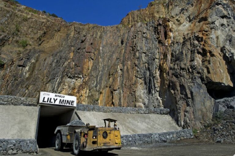ActionSA slams govt for not retrieving Lilly Mine container