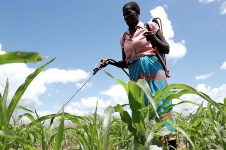 ‘There are still policy gaps in the management of pesticides’