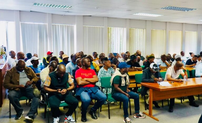 Gauteng Transport is working to address backlog of taxi permits: MEC