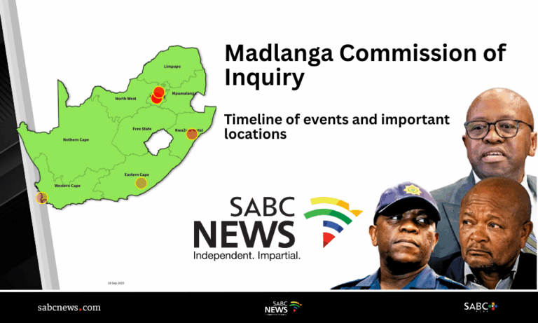 INFOGRAPHIC | Madlanga Commission highlights