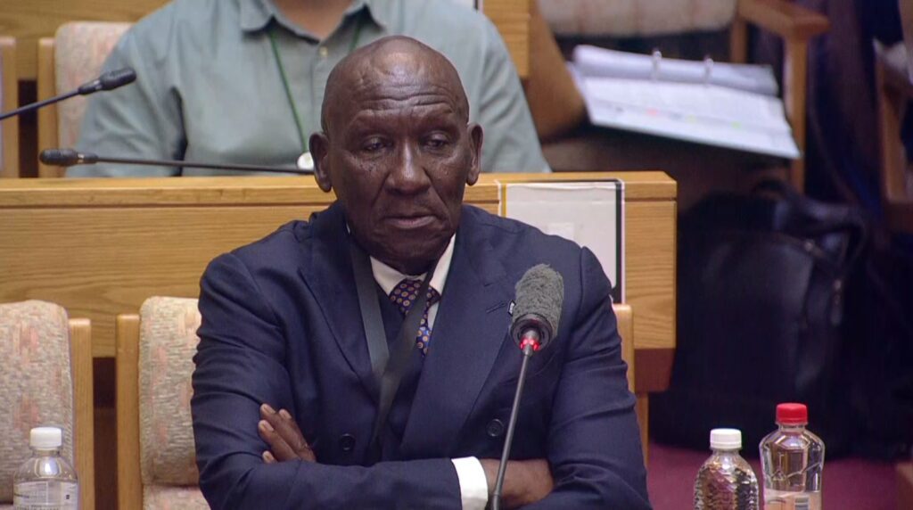 Cele questions Phiyega’s appointment, suggests for manipulation