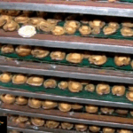 Abalone catch for the financial year limited to 12 tons