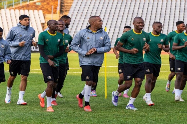 Broos accepts full responsibility for Mokoena saga