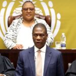 Mashatile welcomes court’s ruling on Chief Luthuli’s death