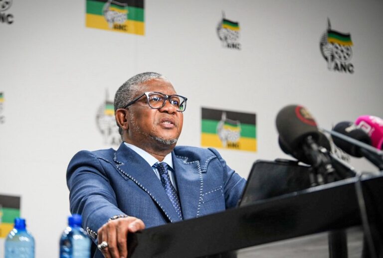 Govt’s communication around Palestinians that arrived in SA was poor: Mbalula