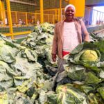 Emerging farmers, entrepreneurs unite to showcase produce in Mthatha