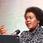 Minister Kubayi calls for action over UN’s Francesca Albanese debacle