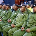 Crime Prevention Wardens Programme was an election ploy: DA