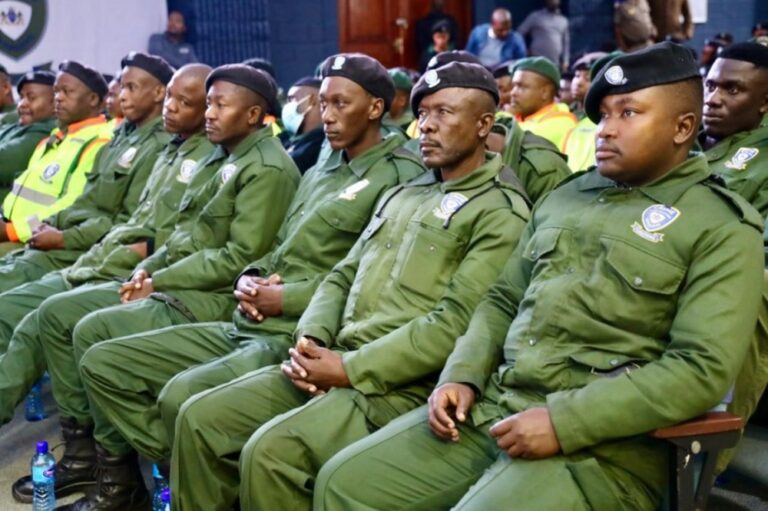 Crime Prevention Wardens Programme was an election ploy: DA