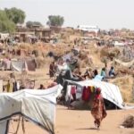 UN Security Council condemns the assault by the RSF on El Fasher