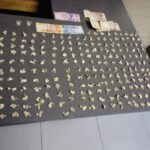 24-year-old FS woman to appear in court for the possession of drugs