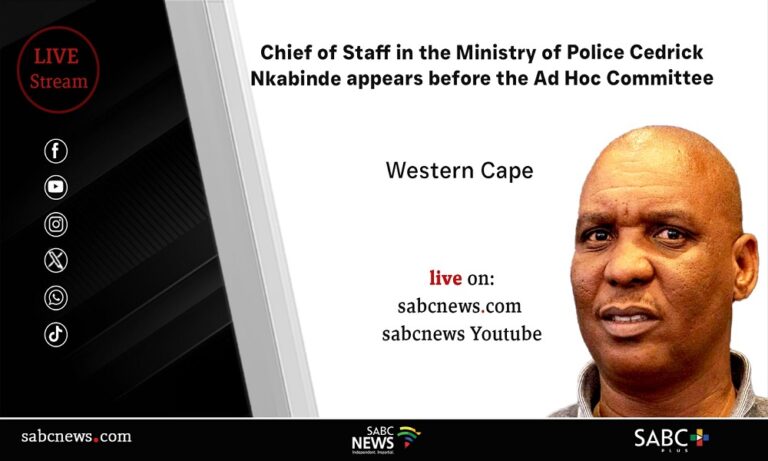 LIVE: Cedrick Nkabinde appears before Parliament Ad Hoc Committee
