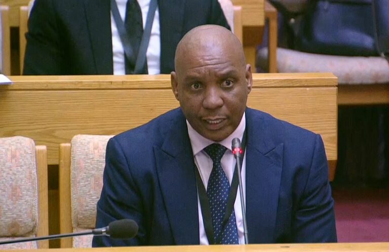 MPs accuse Cedrick Nkabinde of misleading them