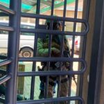 SANCO welcomes police raid on Mahikeng municipality