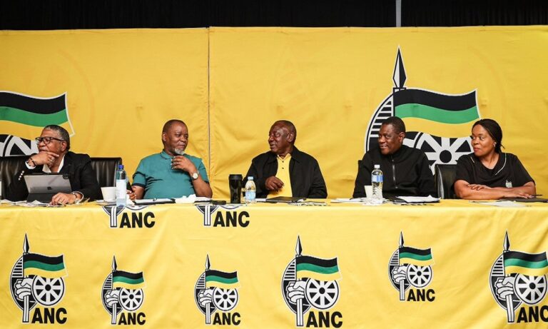 Broader ANC leadership vote ‘won’t change’ party’s fortunes: Analyst