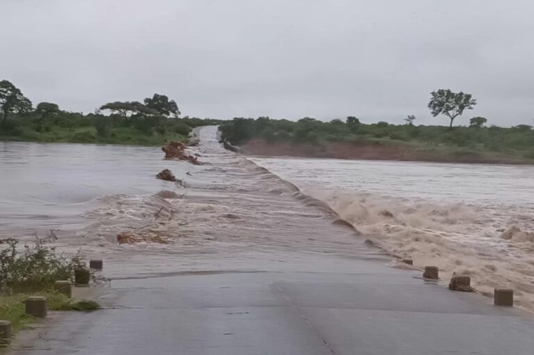 Kruger Park counts cost after floods in Mpumalanga and Limpopo