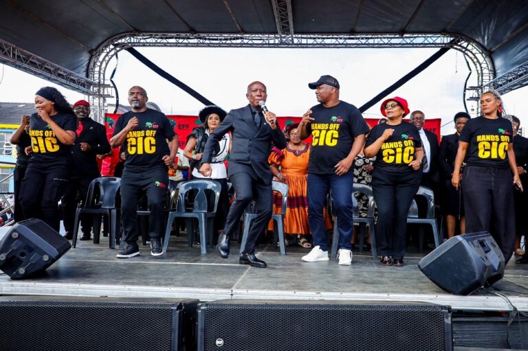 Malema firearm case may affect EFF party support: Analyst