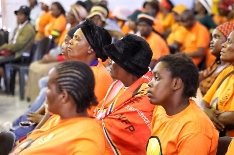 DA says NFP exit will not sink KZN Government of Provincial Unity