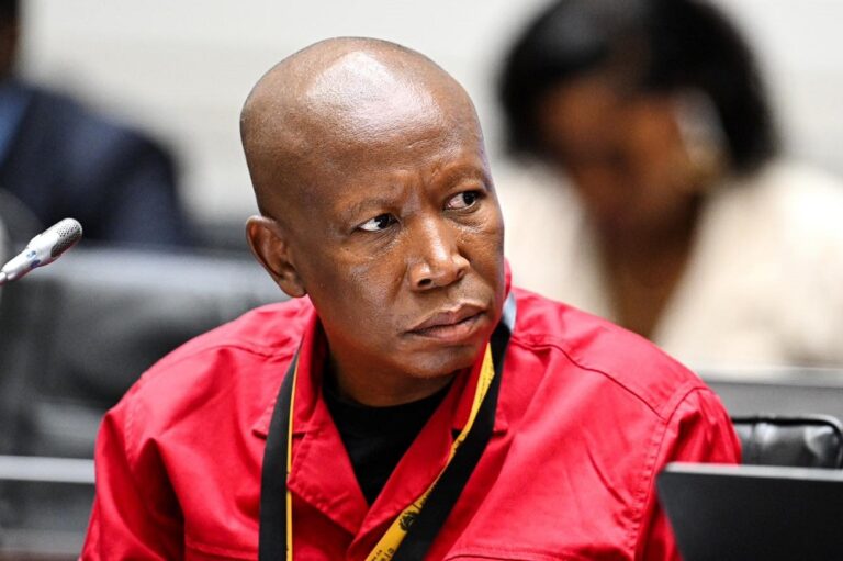 Malema vows to lead EFF even if he is removed from Parliament